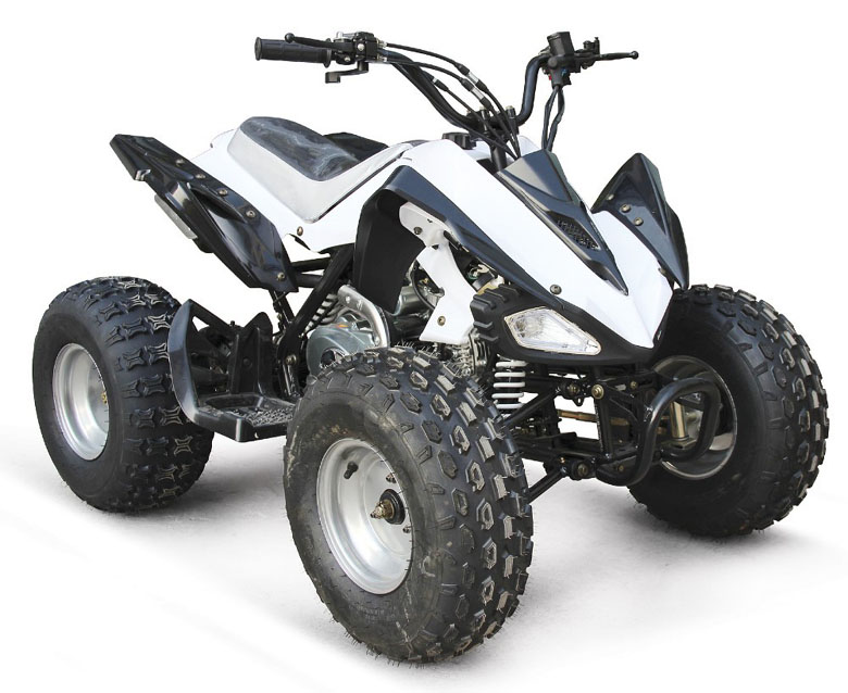 Top Ten Best Quad Bike Brands Bikes Catalog