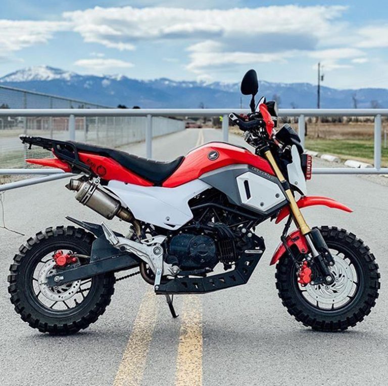 2020 Honda Grom MiniMoto - Review Specs Price