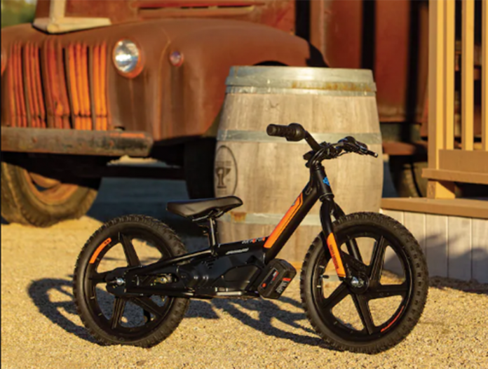 2021 IRONe16 Harley-Davidson Electric Motorcycle