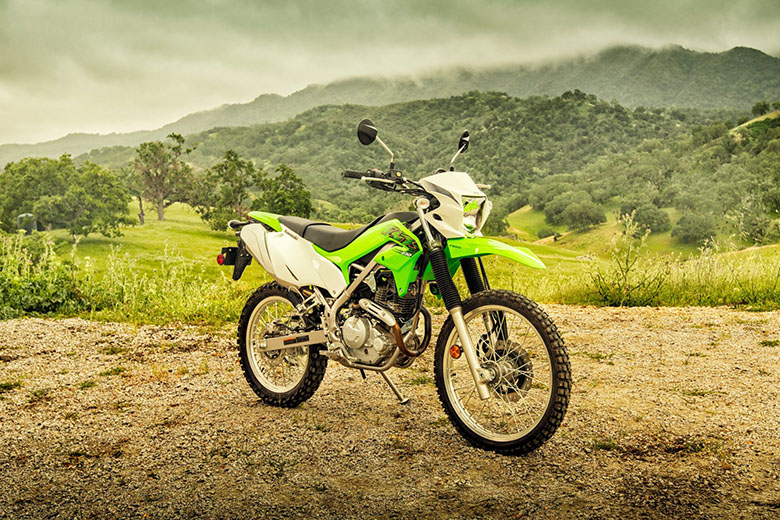 2020 Kawasaki KLX230 Dual Purpose Bike