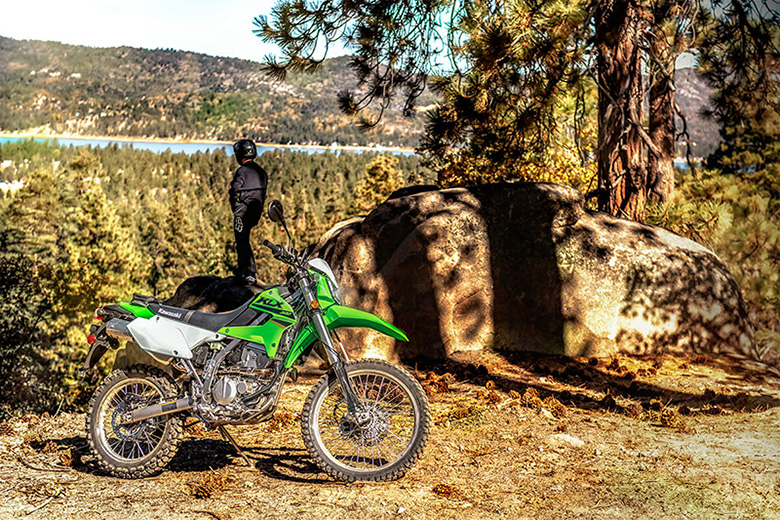 2022 Kawasaki KLX300 Dirt Motorcycle