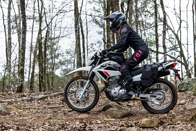 2023 Honda XR150L Dual Sports Bike