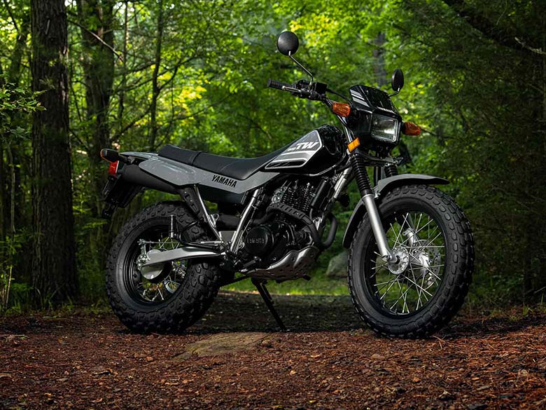 2023 Yamaha TW200 Adventure Motorcycle